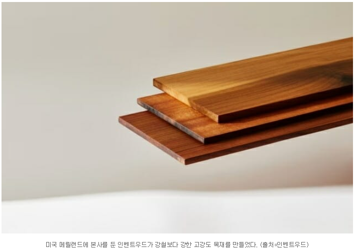 제목 : 강철보다 강한 나무 나왔다…”최대 10배 더 강해”