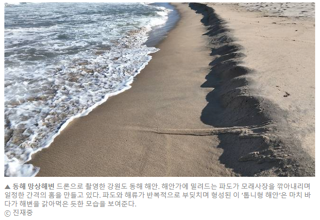 제목 : 동해안 해변에 퍼지는 ‘톱니바퀴 자국’… 전문가 “매우 이례적”
